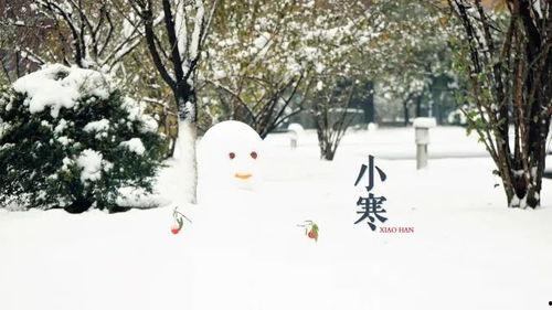 春风冬雪吃瓜,一场别开生面的美食盛宴  第2张